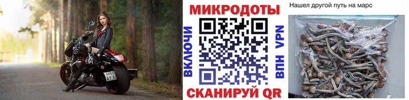 продажа наркотиков  Усть-Лабинск  Псилоцибиновые грибы MAGIC MUSHROOMS 